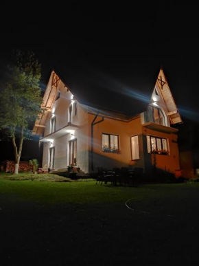 Casa Nectaria, Moieciu De Jos